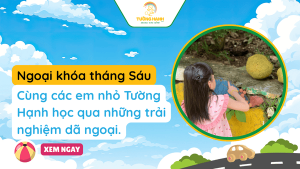 Hoạt động ngoại khóa tháng 6 - 2025 tại Tường Hạnh